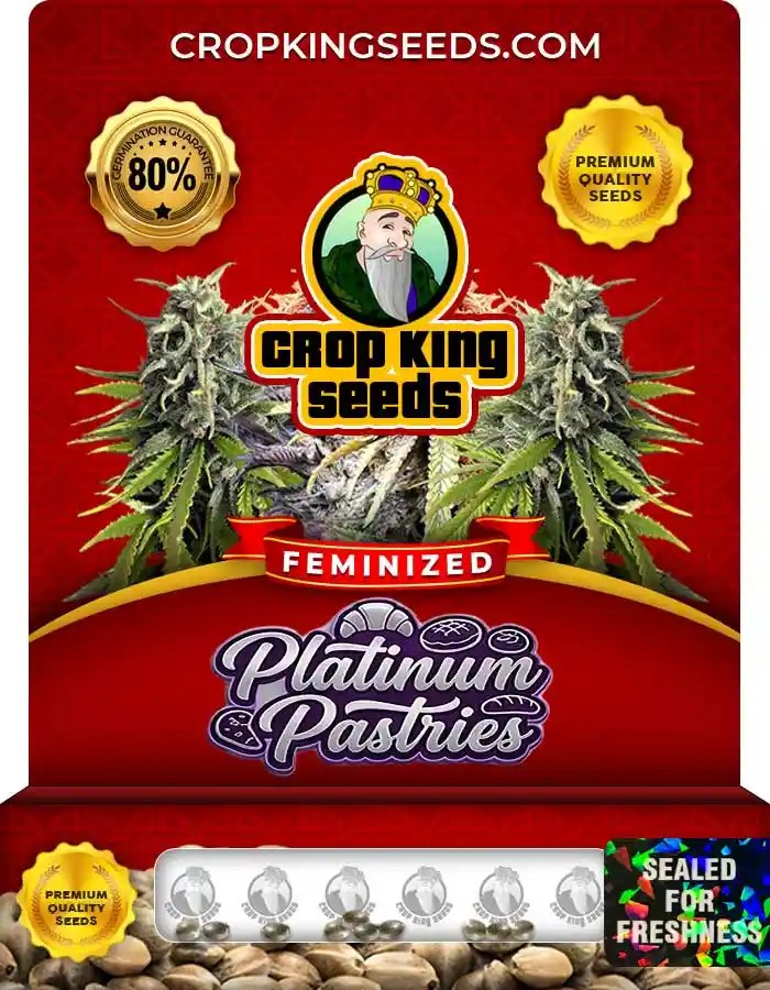 Platinum Pastries Strain Feminized Seeds