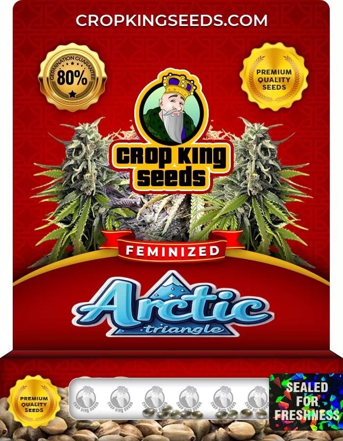 Arctic Triangle Feminized Marijuana Seeds