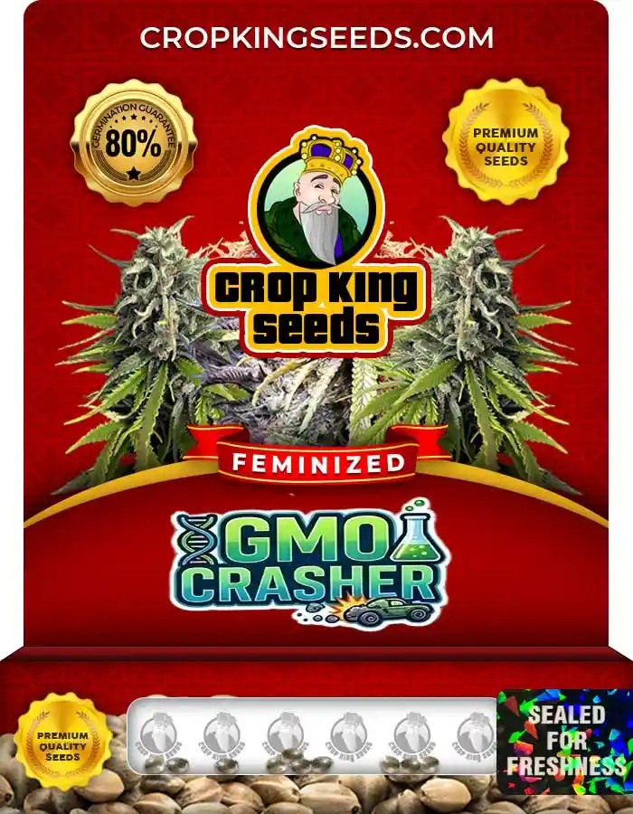 GMO Crasher Strain Feminized Marijuana Seeds