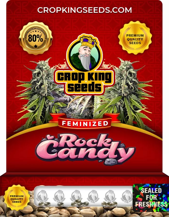 Rock Candy Feminized Marijuana Seeds