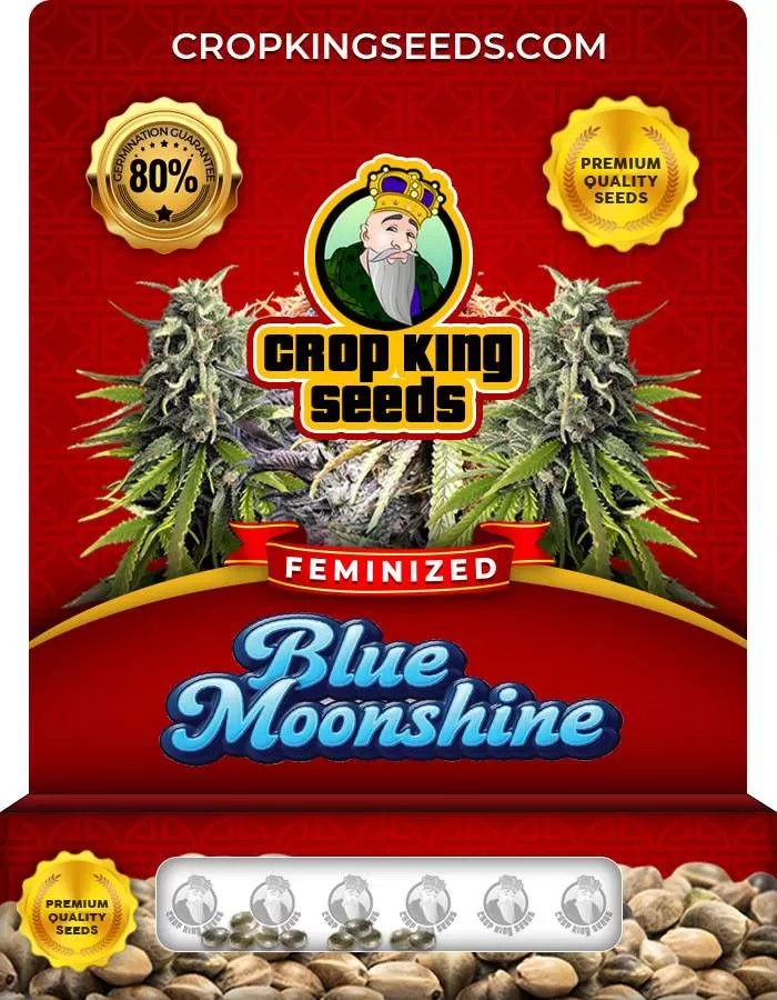 Blue Moonshine Feminized Seeds
