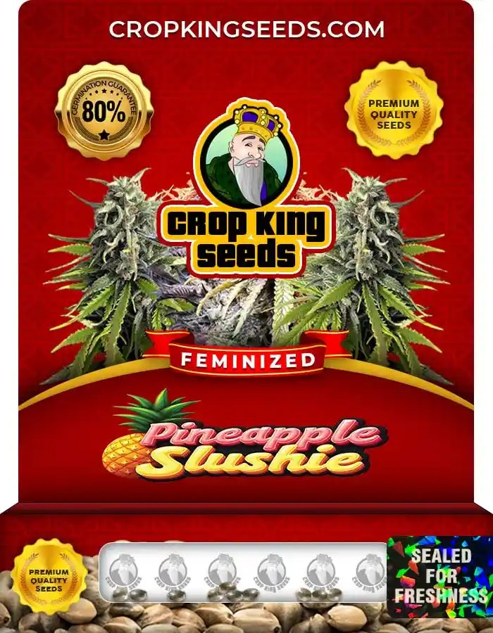 Pineapple Slushie Feminized Seeds