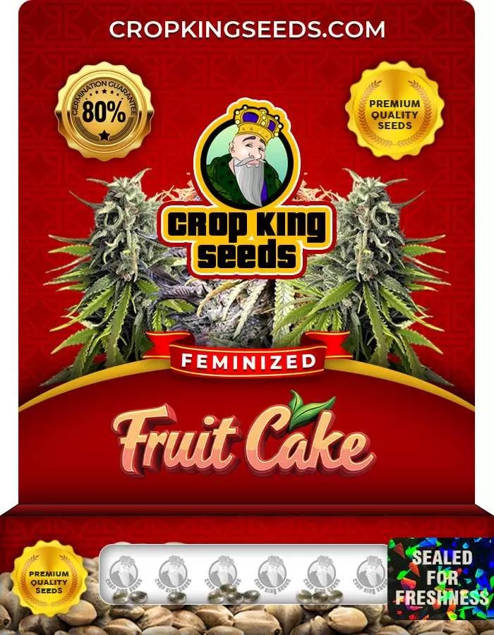 Fruit Cake Strain Feminized Marijuana Seeds