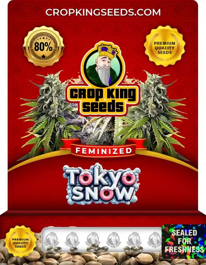 Tokyo Snow Strain Feminized Marijuana Seeds