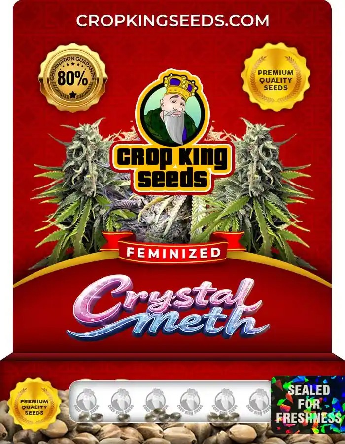 Crystal Meth Strain Feminized Marijuana Seeds