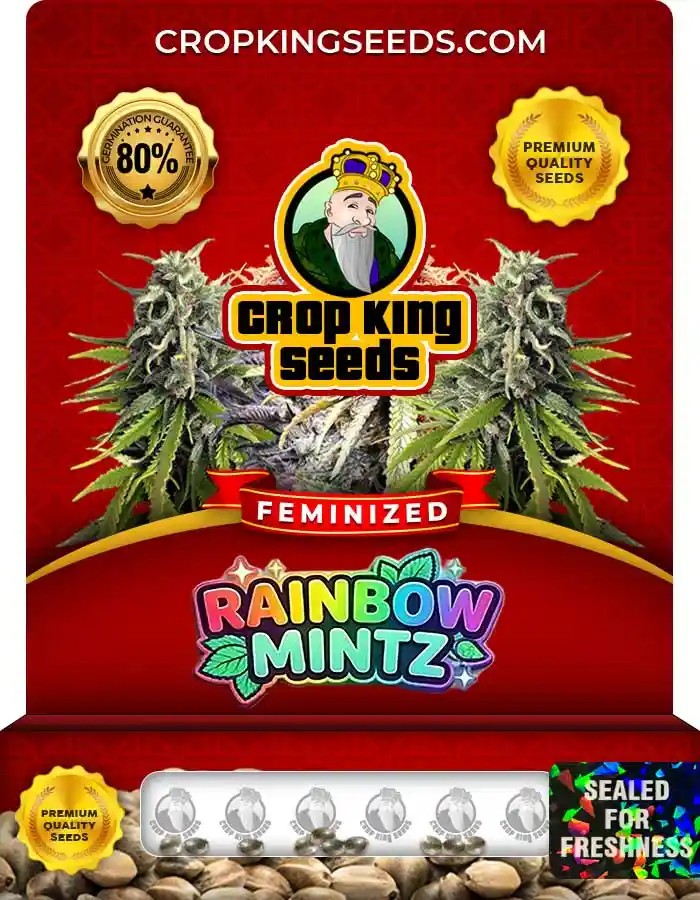 Rainbow Mintz Strain Feminized Marijuana Seeds