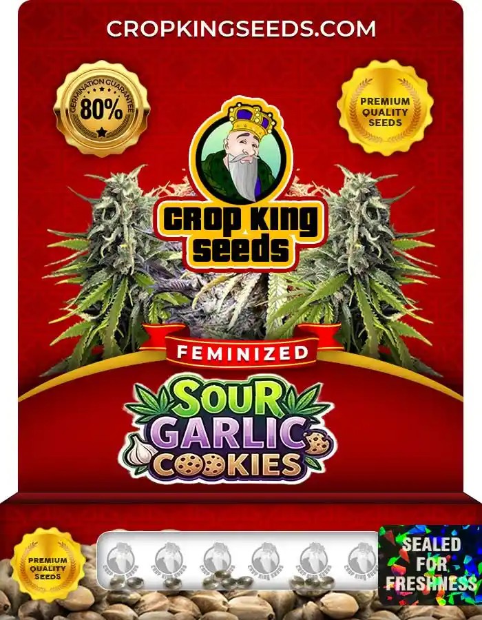 Sour Garlic Cookies Strain Feminized Marijuana Seeds