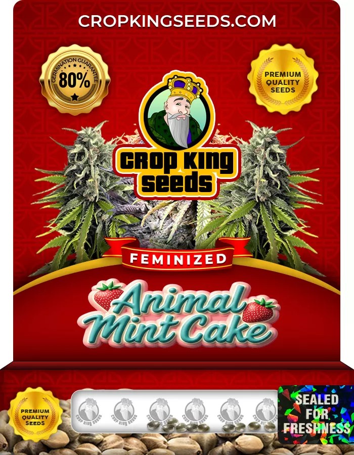 Animal Mint Cake Feminized Marijuana Seeds