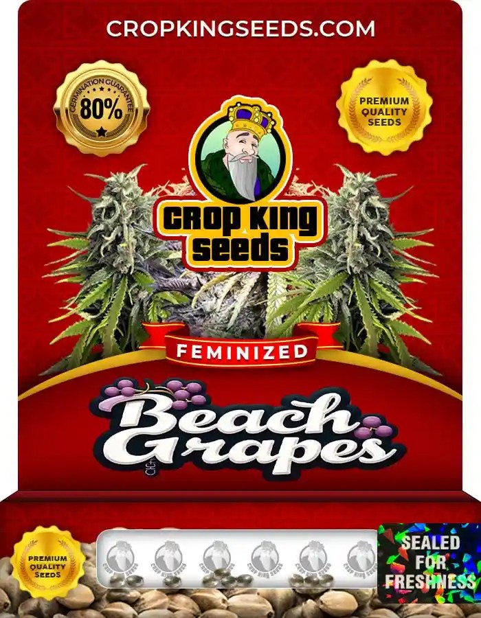 Beach Grapes Feminized Seeds
