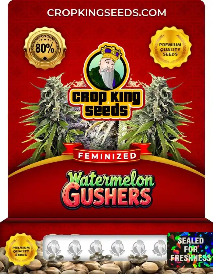 Watermelon Gushers Strain Feminized Marijuana Seeds