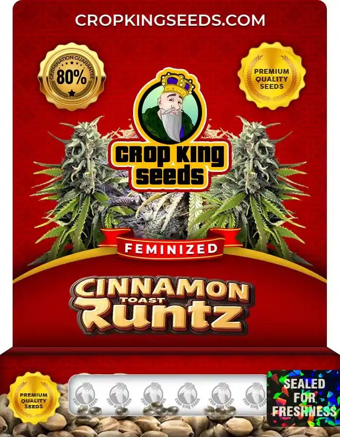 Cinnamon Toast Runtz Feminized Seeds