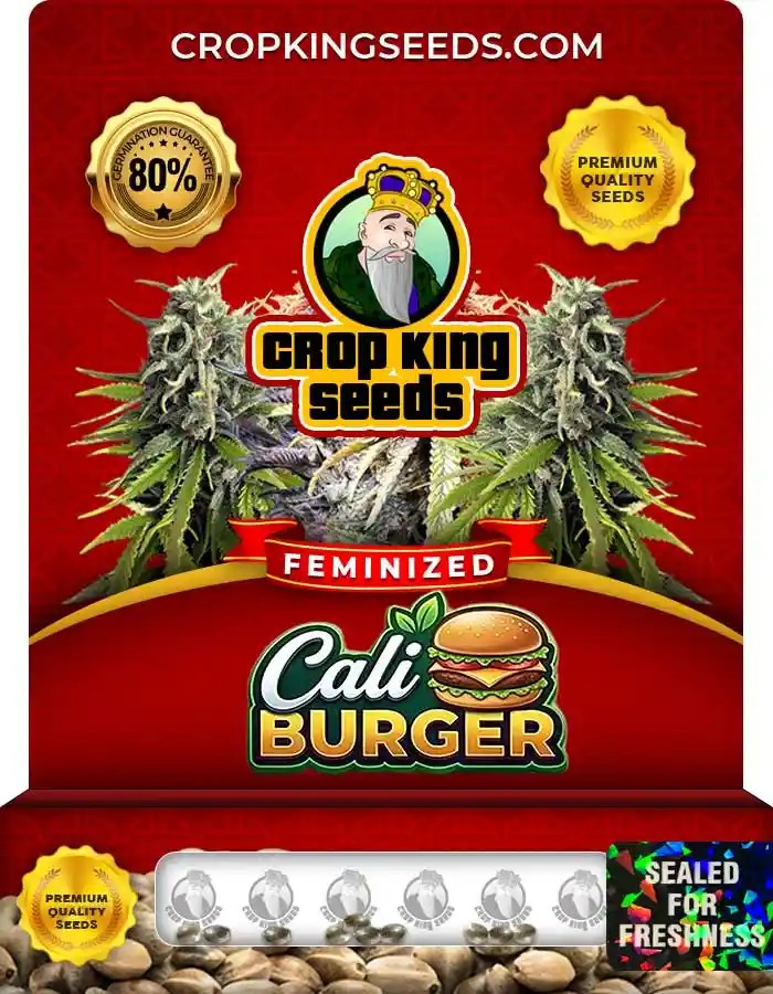 Cali Burger Feminized Seeds
