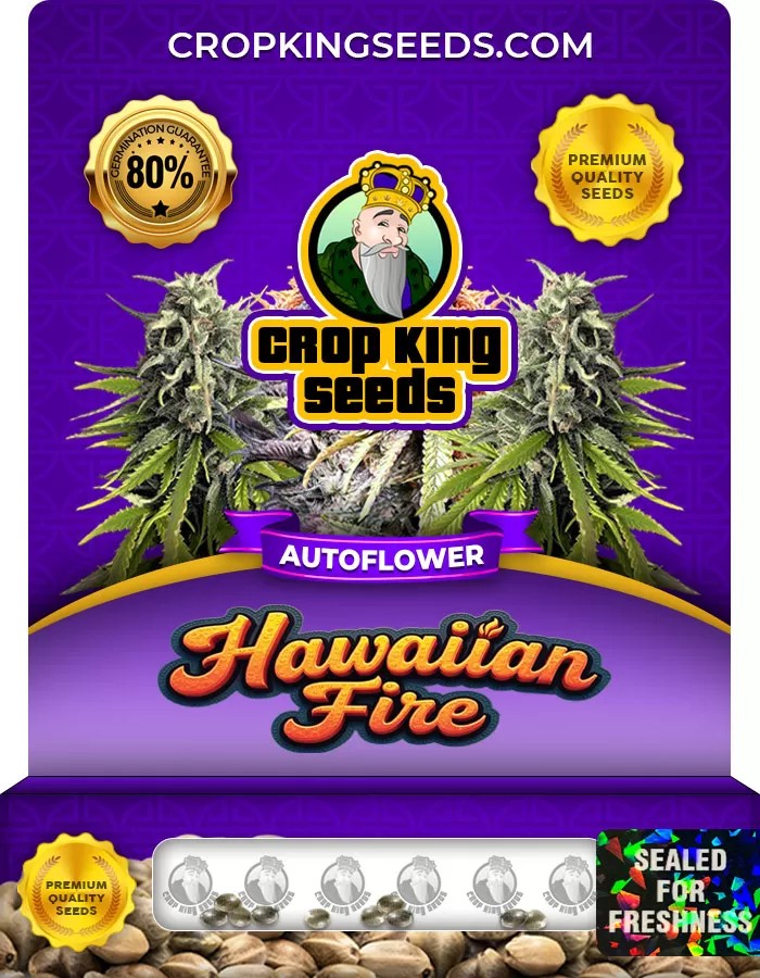 Hawaiian Fire Autoflower Marijuana Seeds