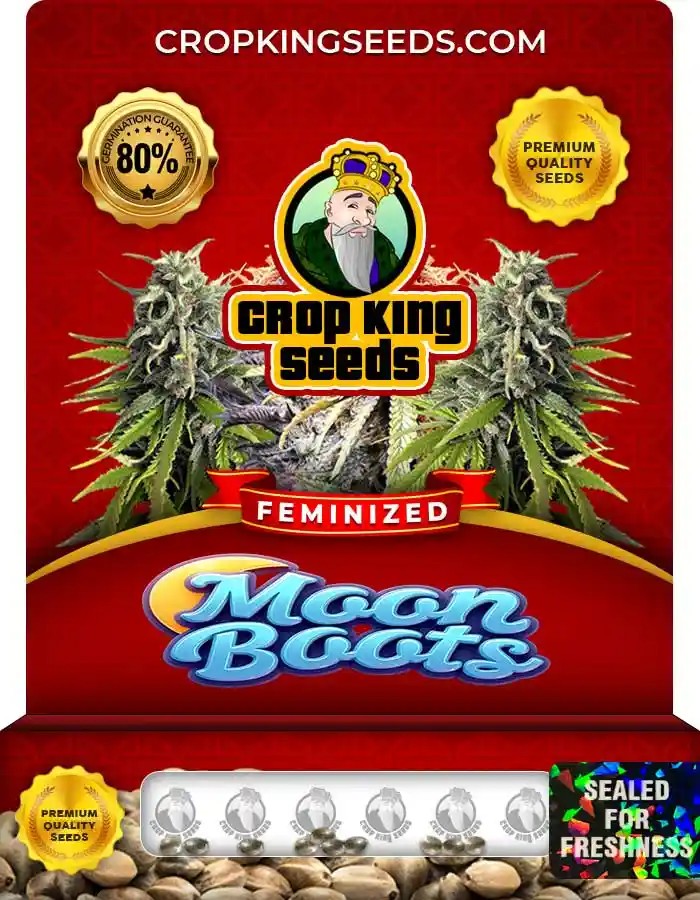 Moon Boots Strain Feminized Marijuana Seeds