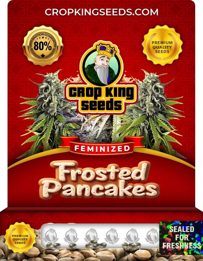 Frosted Pancakes Strain Feminized Seeds