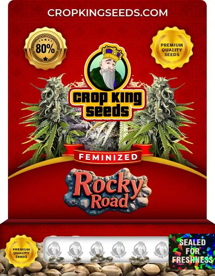 Rocky Road Strain Feminized Marijuana Seeds