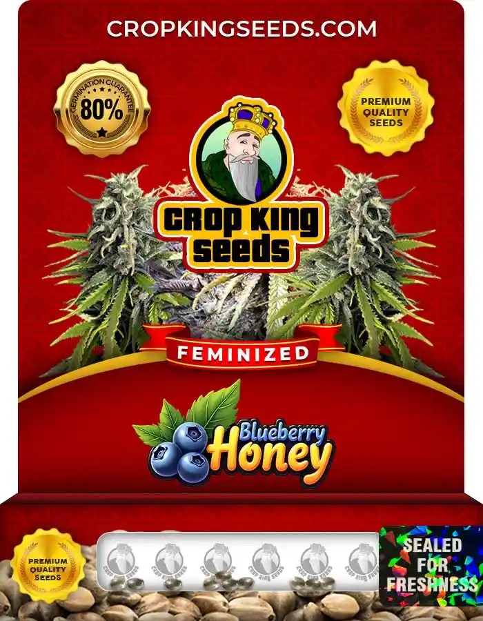 Blueberry Honey Strain Feminized Seeds