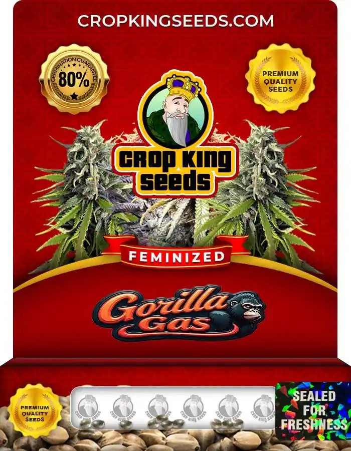 Gorilla Gas Feminized Seeds