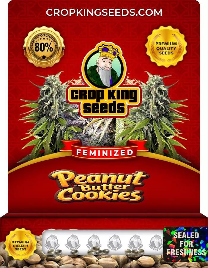 Peanut Butter Cookies Strain Feminized Marijuana Seeds