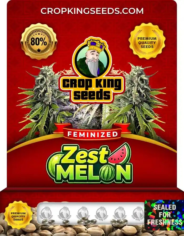 Zest Melon Strain Feminized Seeds