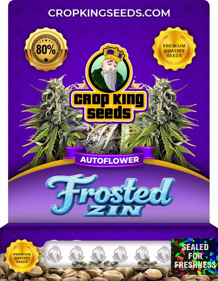 Frosted Zin Autoflower Marijuana Seeds