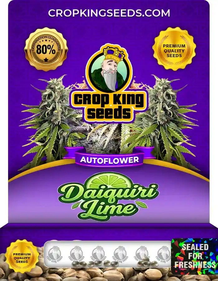 Auto Daiquiri Lime Seeds
