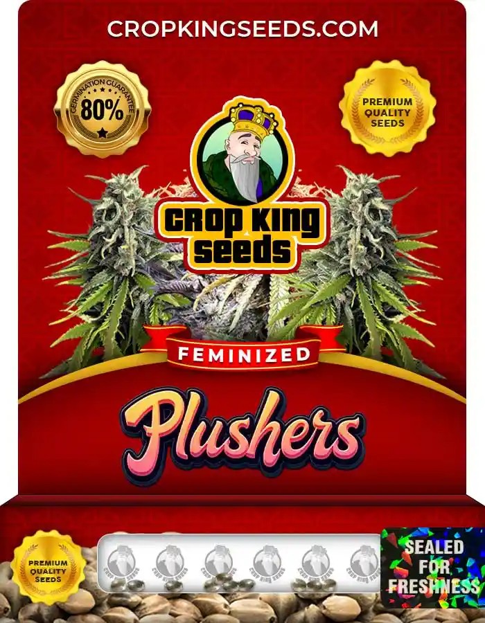 Plushers Feminized Seeds
