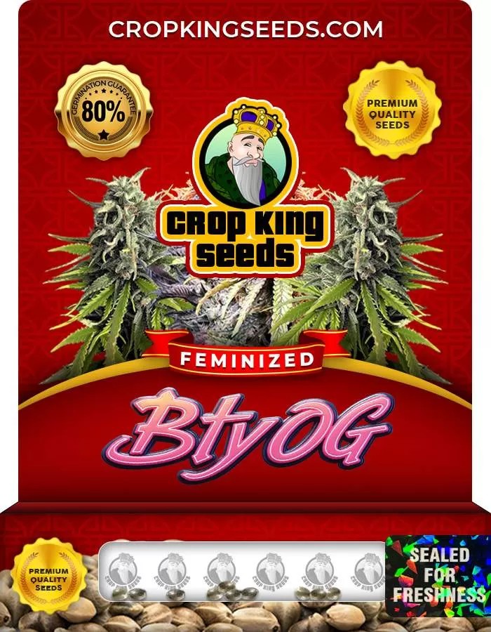 BTY OG Feminized Seeds