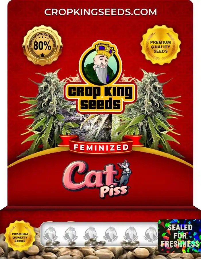Cat Piss Strain Feminized Marijuana Seeds