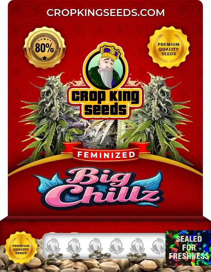 Big Chillz Feminized Seeds