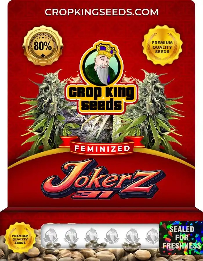 Jokerz 31 Strain Feminized Marijuana Seeds