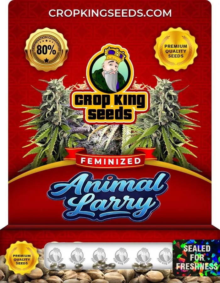 Animal Larry Strain Feminized Seeds