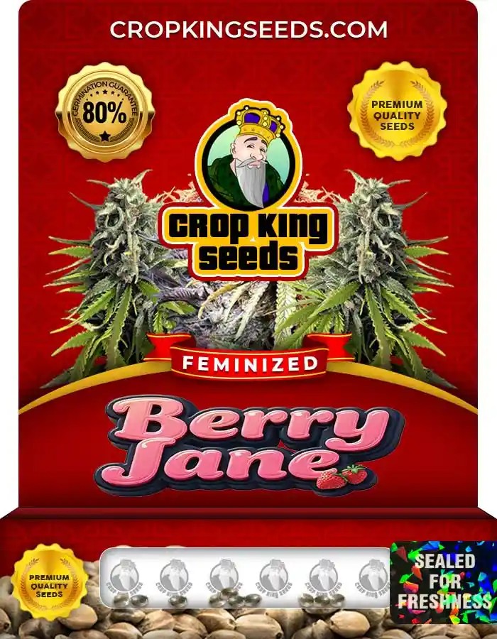 Berry Jane Feminized Seeds