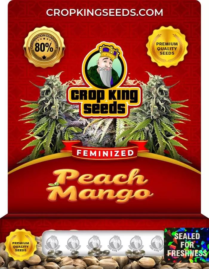 Peach Mango Feminized Seeds