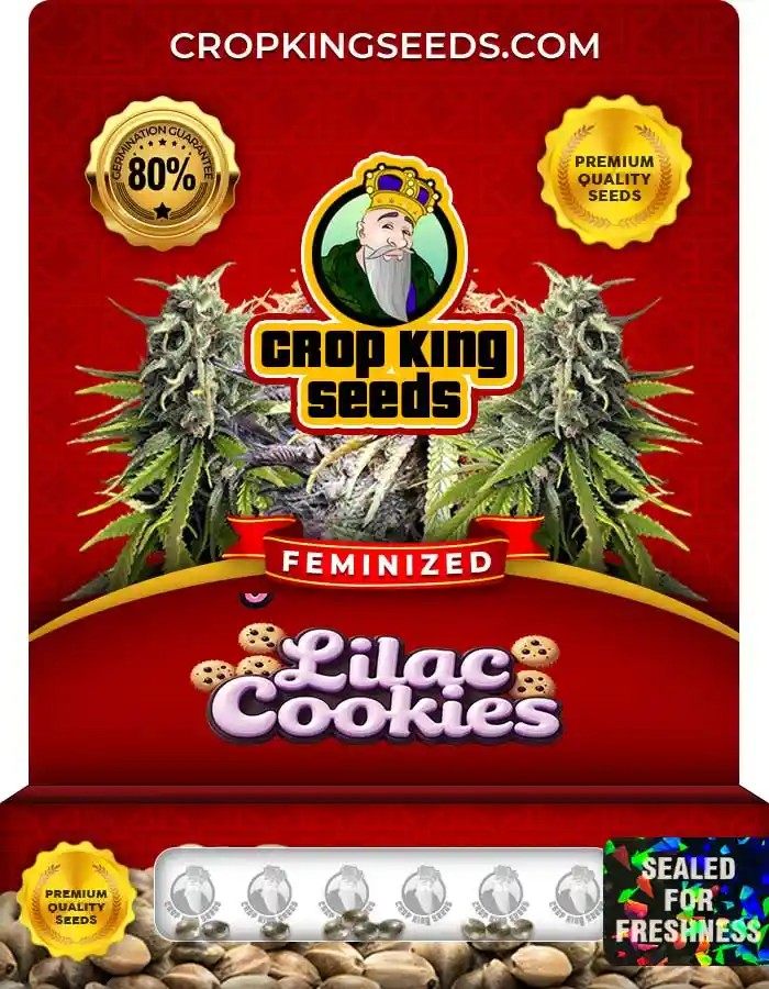 Lilac Cookies Strain Feminized Marijuana Seeds