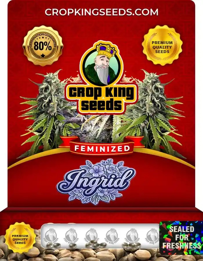 Ingrid Feminized Seeds