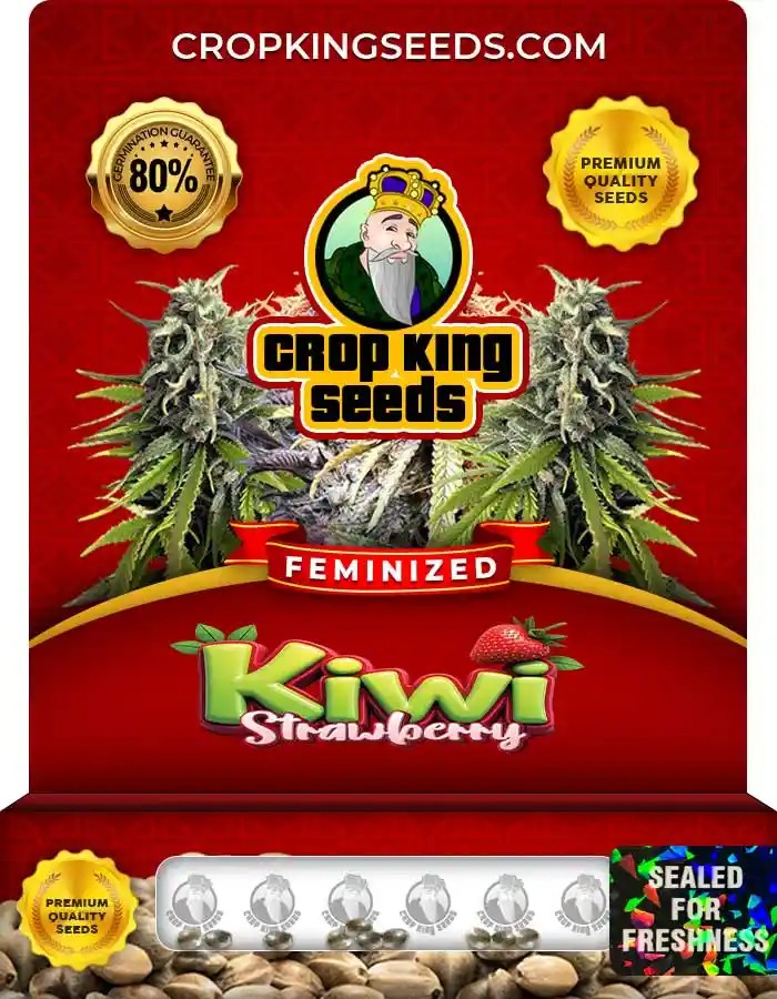 Kiwi Strawberry Feminized Seeds