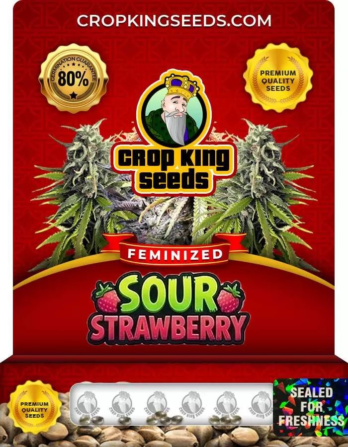 Sour Strawberry Strain Feminized Marijuana Seeds