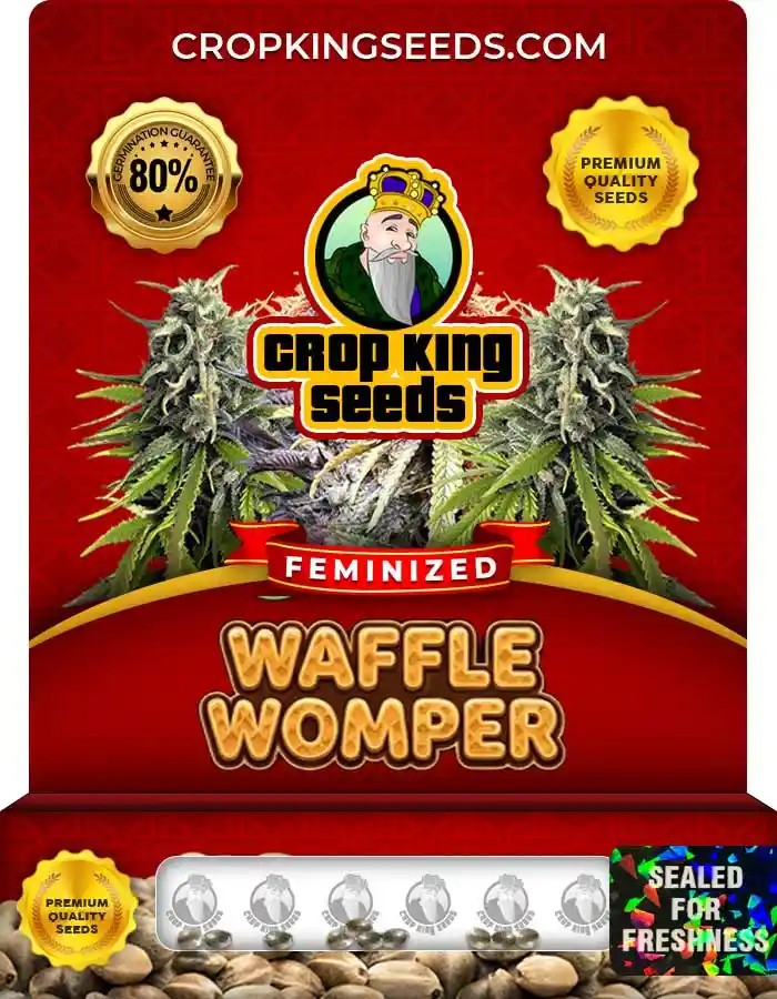 Waffle Womper Strain Feminized Seeds