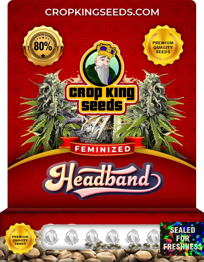 Headband Feminized Marijuana Seeds