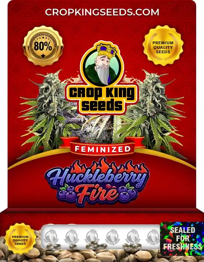 Huckleberry Fire Strain Feminized Seeds