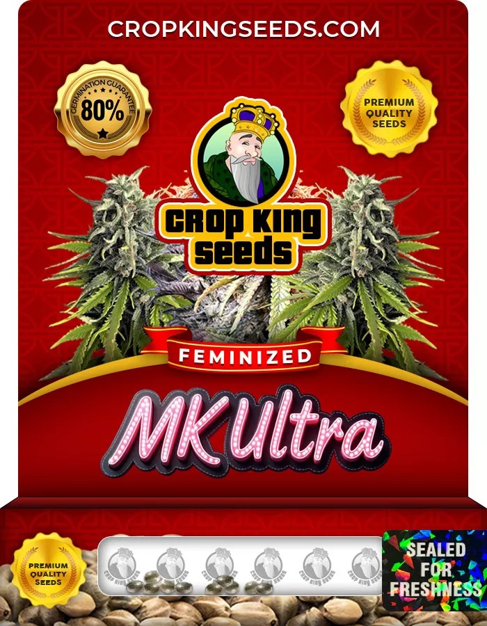 MK Ultra Feminized Marijuana Seeds