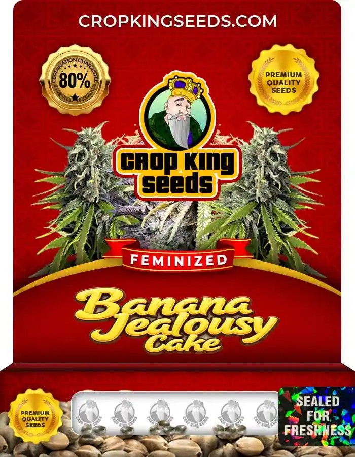 Banana Jealousy Cake Feminized Seeds