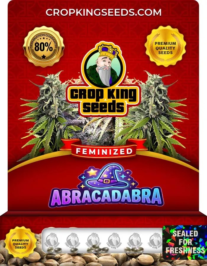 Abracadabra Strain Feminized Seeds
