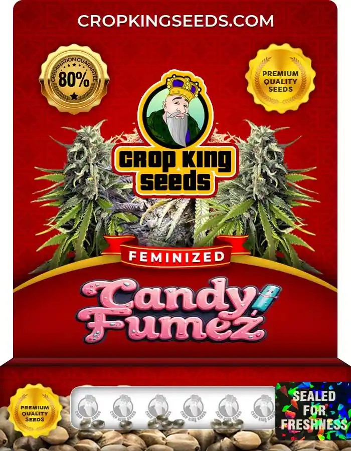 Candy Fumez Strain Feminized Marijuana Seeds