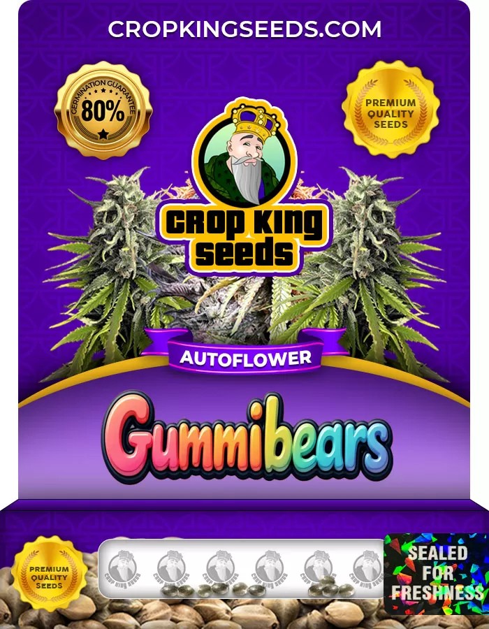 Gummibears Autoflowering Feminized Marijuana Seeds