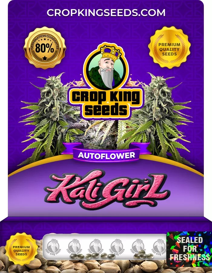 Kali Girl Autoflower Marijuana Seeds