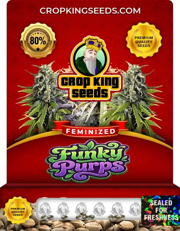 Funky Purps Strain Feminized Seeds