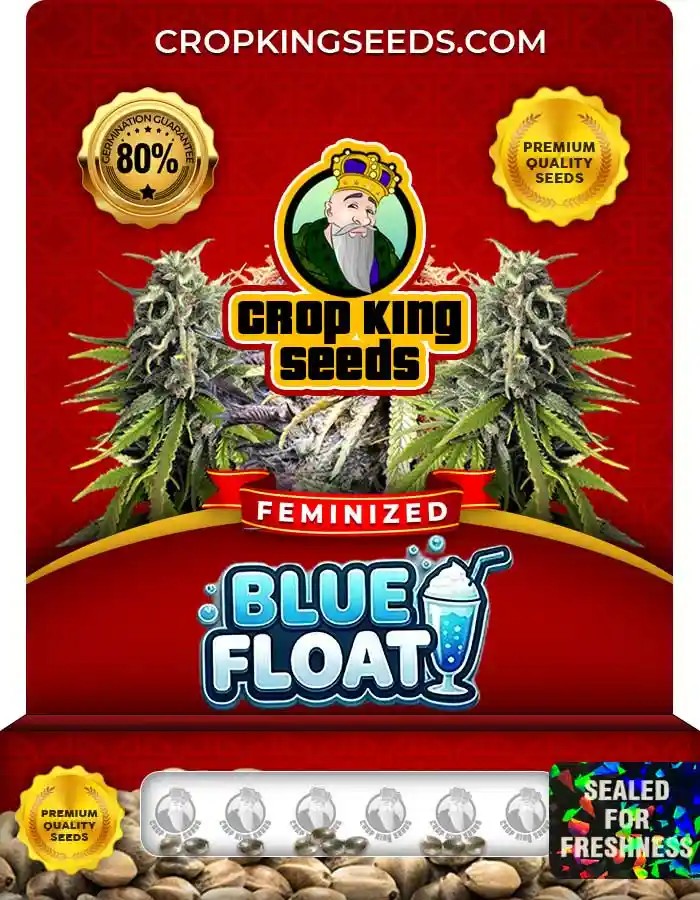 Blue Float Feminized Seeds