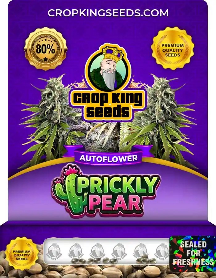 Prickly Pear Autoflower Seeds